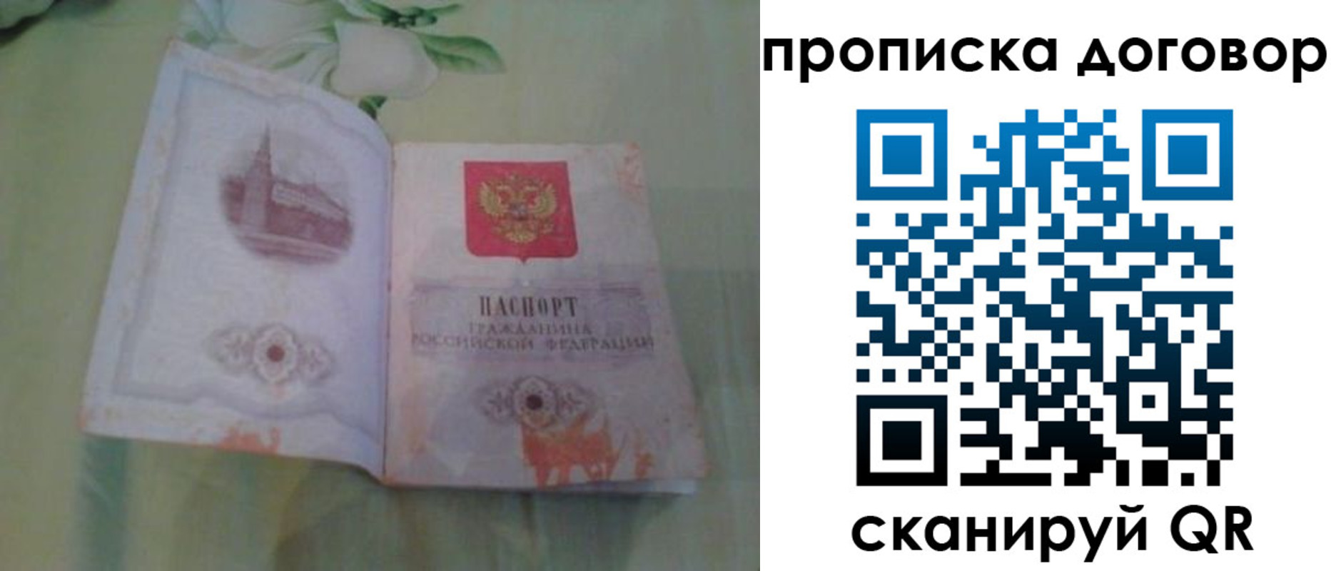 временная регистрация гарантия в Данилове